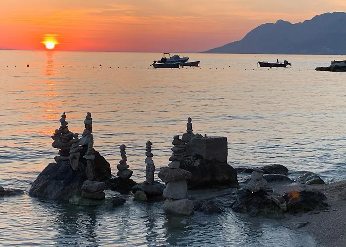 Sunce -